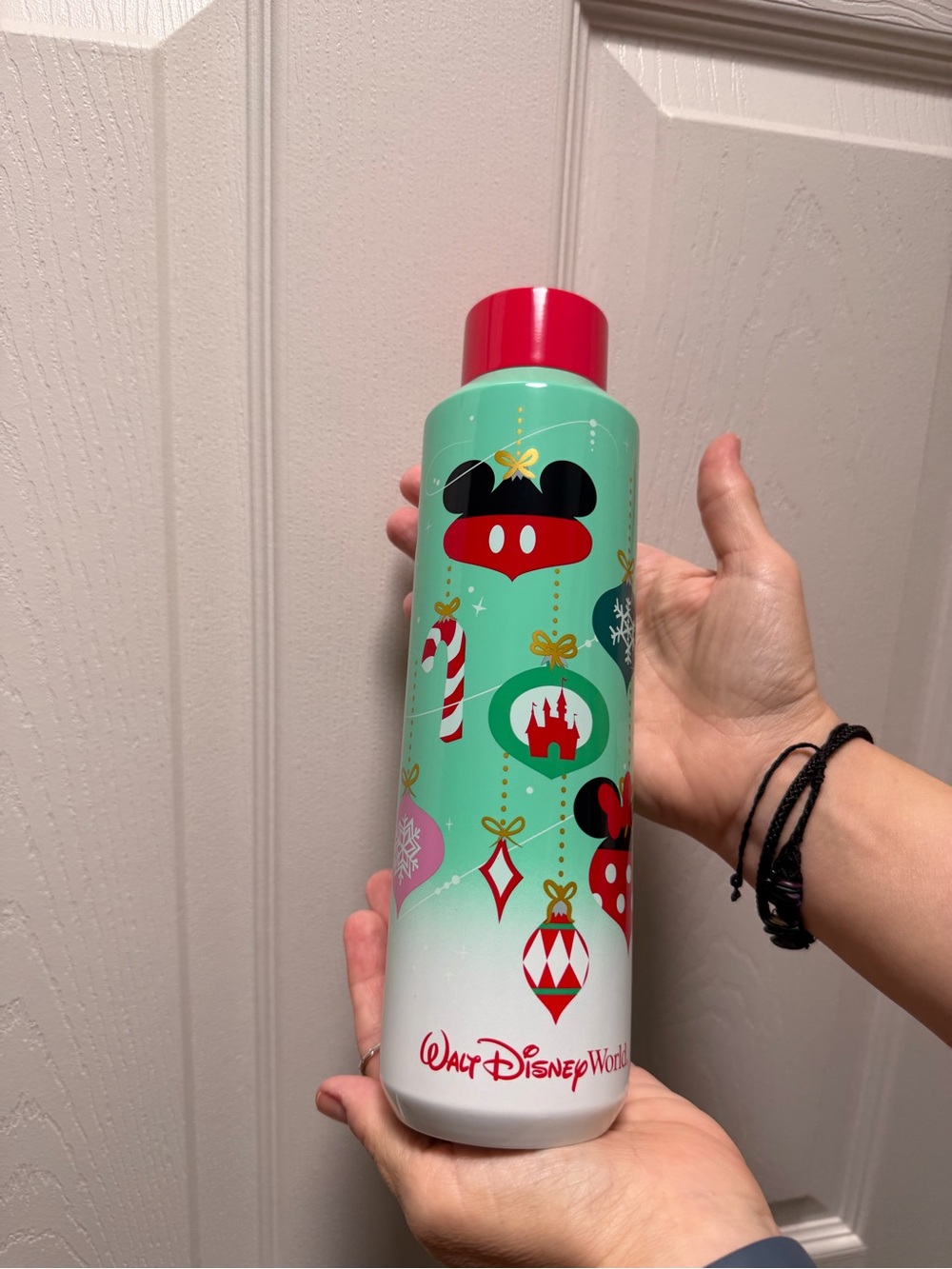Walt Disney World Holiday Starbucks Water Bottle - Mint & Red